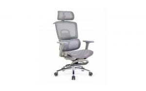 Ghế công thái học