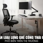 phân loại lưng ghế công thái học