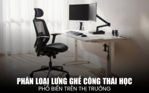 phân loại lưng ghế công thái học