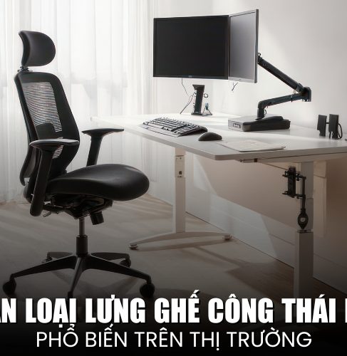 phân loại lưng ghế công thái học