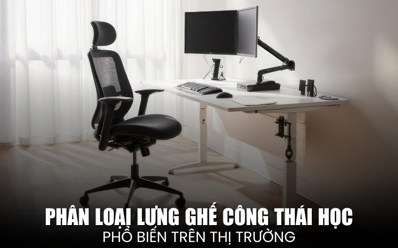 phân loại lưng ghế công thái học