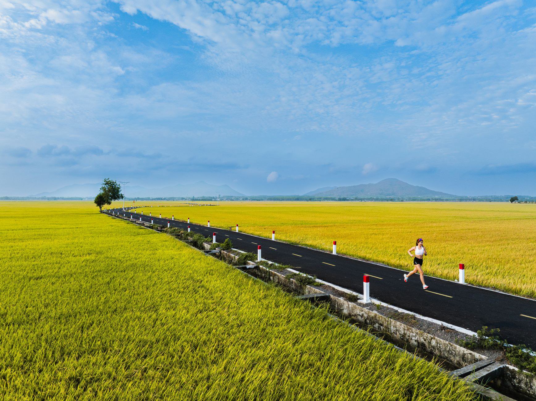 Lưu ý 1: Xem nguồn và người viết